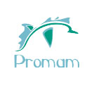 Criação de Logo Proman
